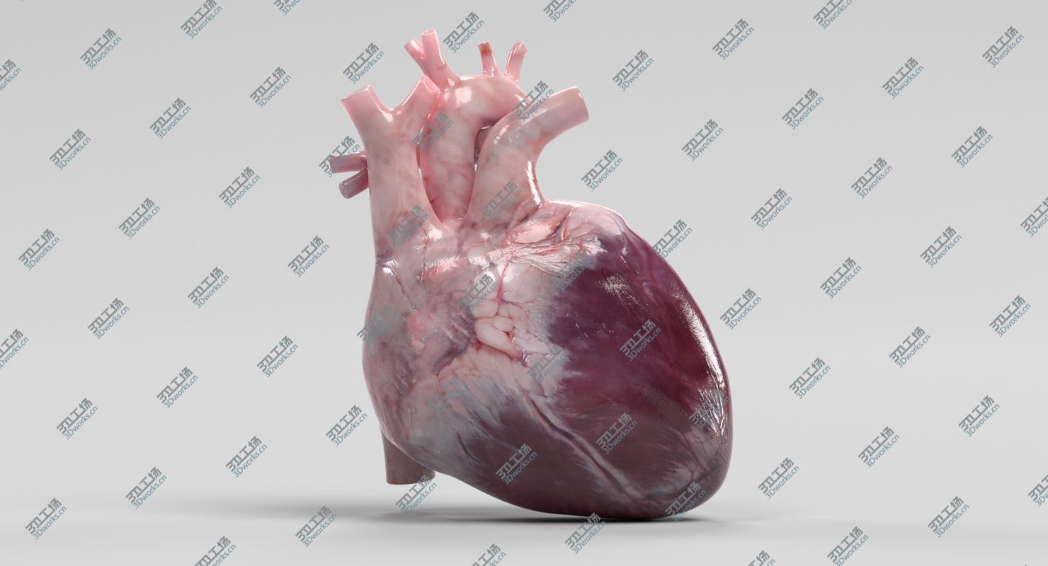 images/goods_img/202105072/3D Human Heart model/1.jpg